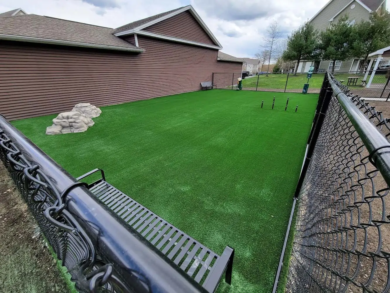 Pet-Friendly Artificial Turf Installation in Conroe, TX